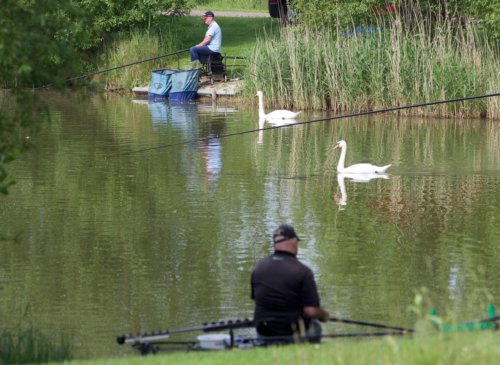 Pleasure angling on the Match Lake