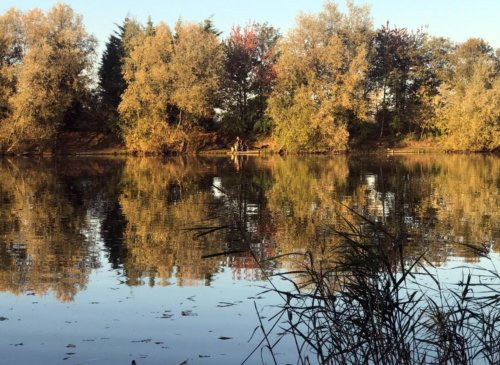 Autumn on West End Lake